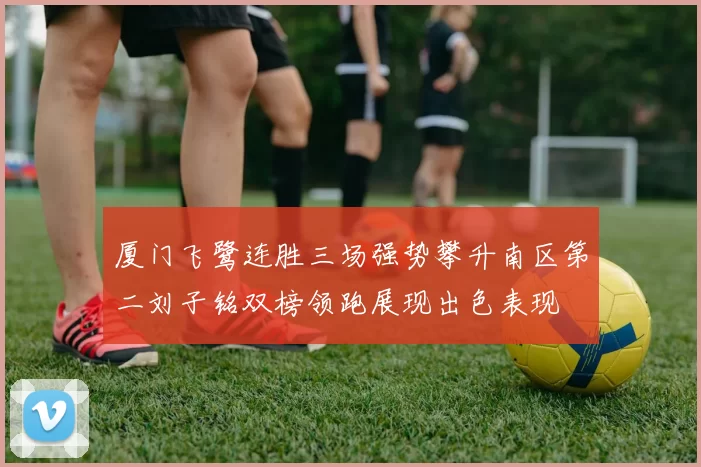 厦门飞鹭连胜三场强势攀升南区第二刘子铭双榜领跑展现出色表现