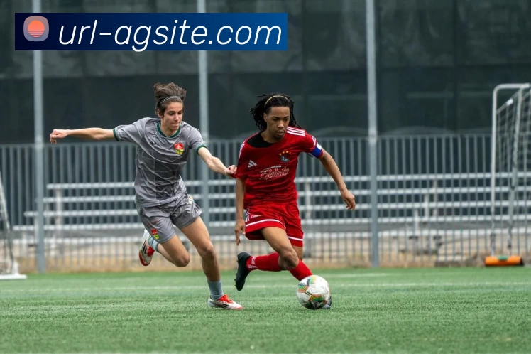 AG娱乐平台生态图